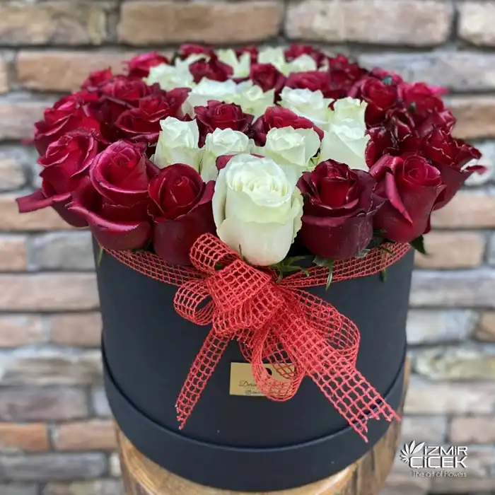 XL Boy Kutu Çiçek