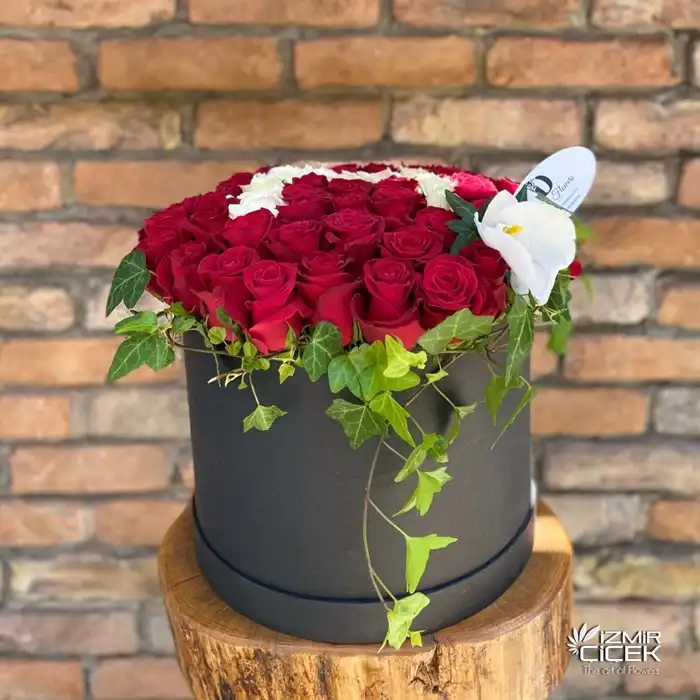 Harfli Kutu Gül